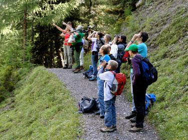 ormalingen 4